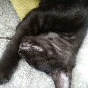 Meet your Posher, Danton